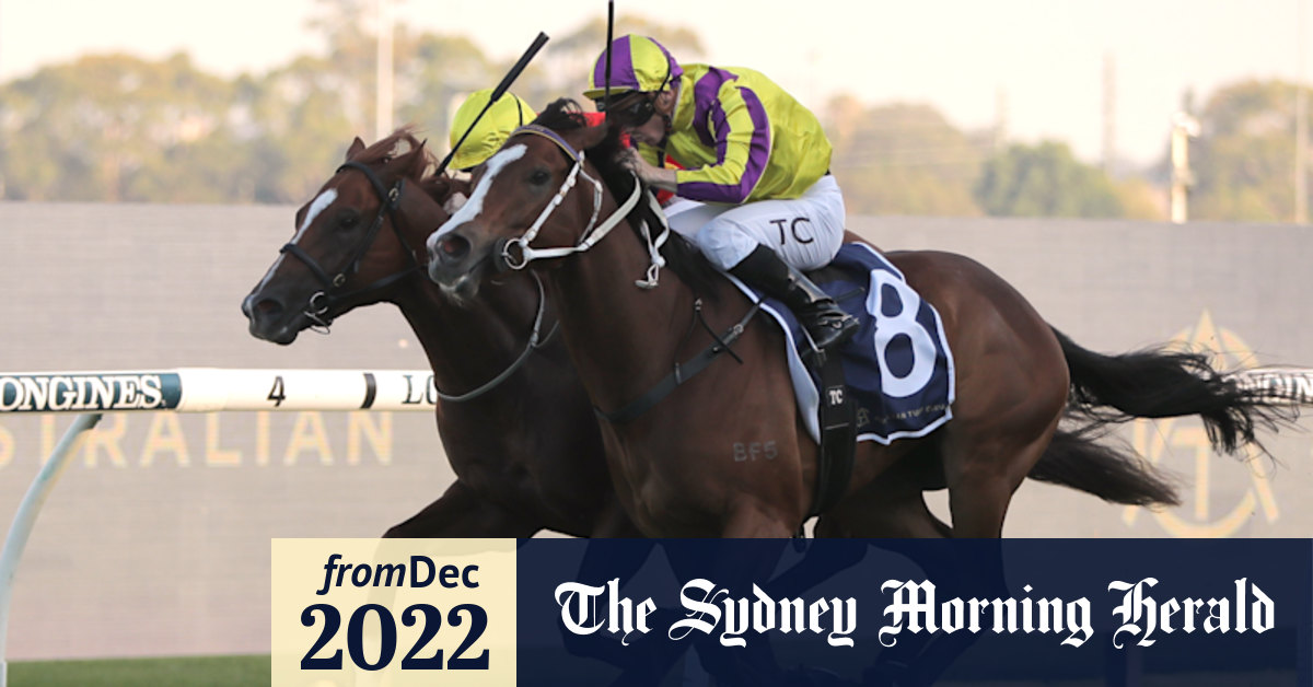 Canterbury races Friday tips and full preview